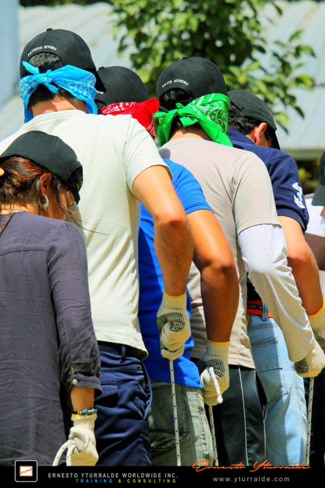 Talleres de Cuerdas Bajas y Team Building en LATAM, USA y El Caribe | Experiencias vivenciales para desarrollo de equipos empresariales