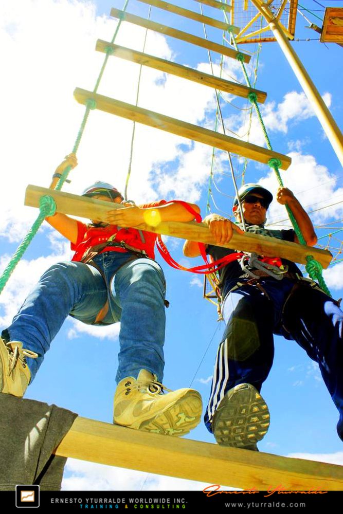 Team Building LATAM Talleres de Cuerdas Bajas | Team Building Empresarial para el desarrollo de equipos de trabajo