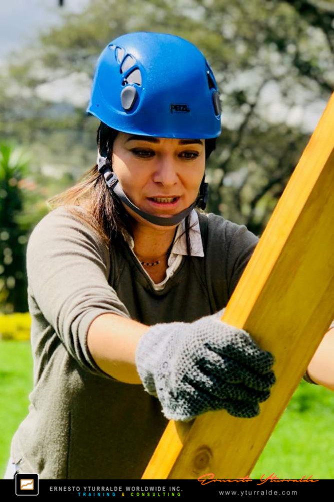 Team Building LATAM, USA y El Caribe | Talleres de Cuerdas Bajas outdoor para integración y fortalecimiento de equipos de trabajo