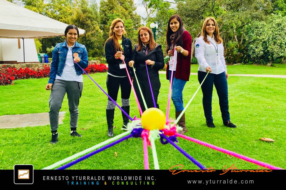 Talleres de Cuerdas Bajas para Team Building en LATAM, USA y El Caribe | Cohesión y confianza en equipos de trabajo