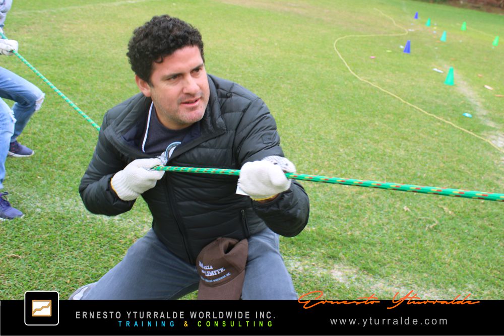 Team Building LATAM, USA y El Caribe | Talleres de Cuerdas Bajas para equipos comprometidos